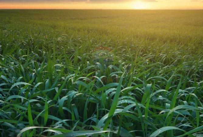 8008709 - صورة العقار 3