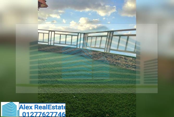 8008404 - صورة العقار 2