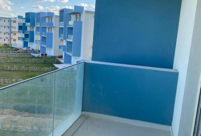 8020772 - صورة العقار 3