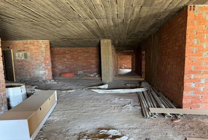 8009987 - صورة العقار 3