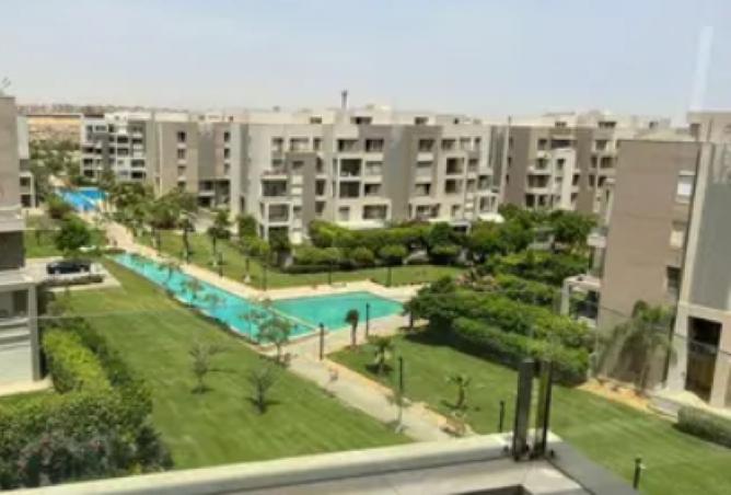 8010601 - صورة العقار 2