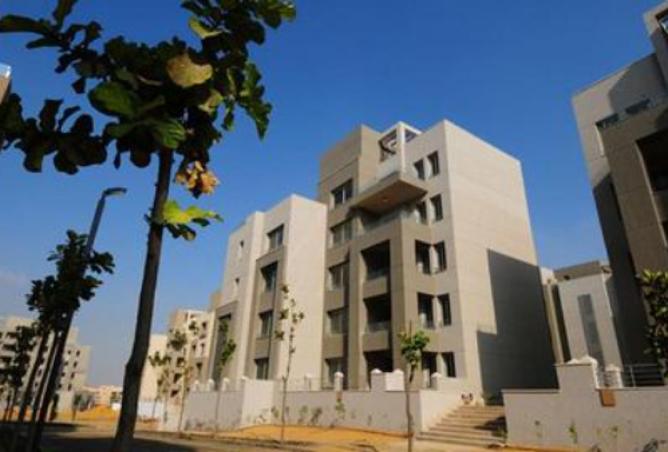 8010601 - صورة العقار 3