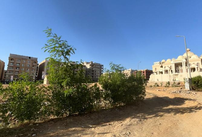 8010938 - صورة العقار 3