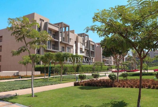 8012431 - الصورة الرئيسية للعقار