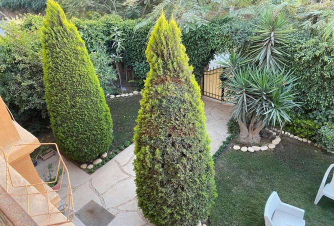 8012068 - Property Image 3