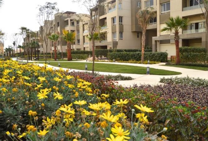 8133802 - Property Image 3