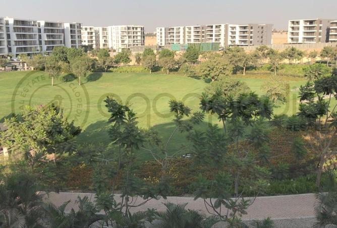 8391109 - الصورة الرئيسية للعقار