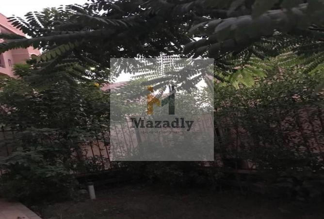 8423955 - صورة العقار 3