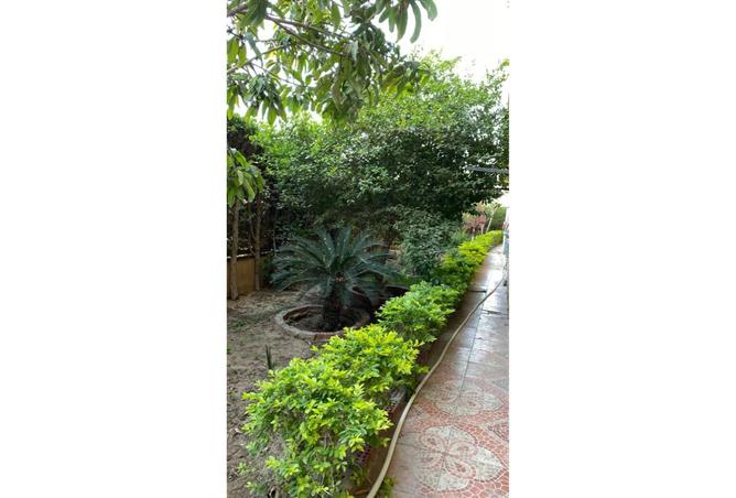 8015246 - Property Image 2