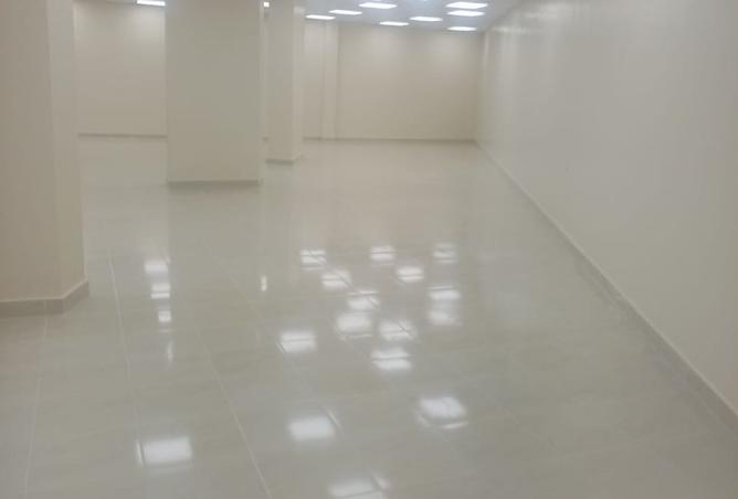 8049300 - Property Image 3