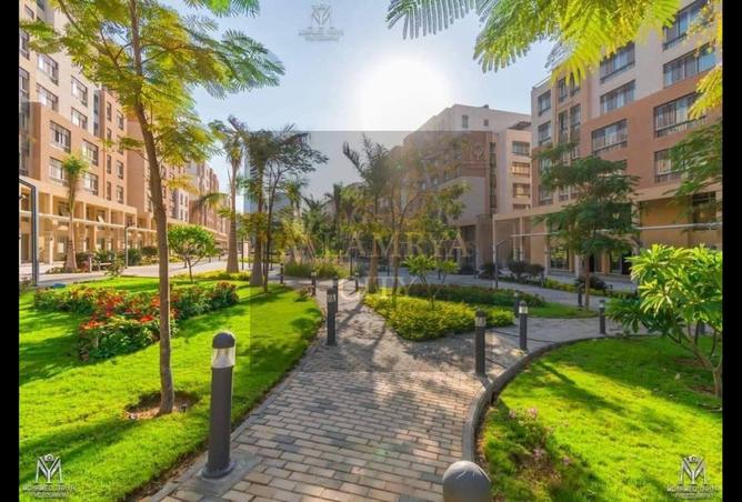 8016693 - الصورة الرئيسية للعقار