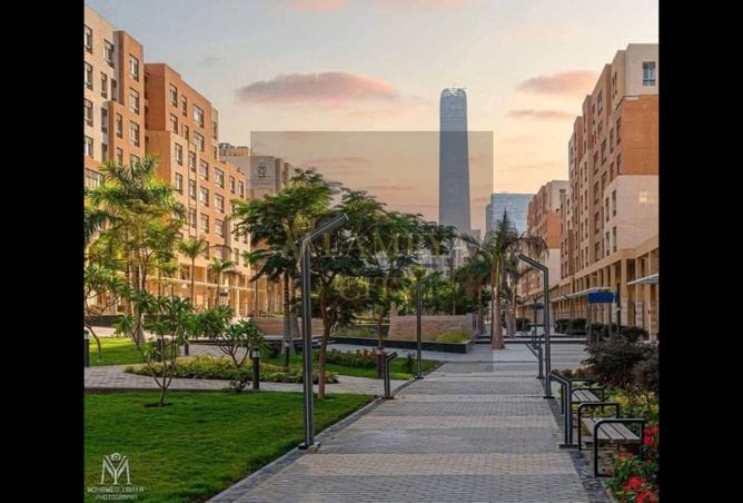 8016693 - صورة العقار 3