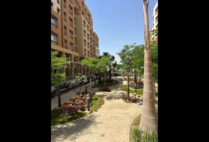 8016693 - صورة العقار 2