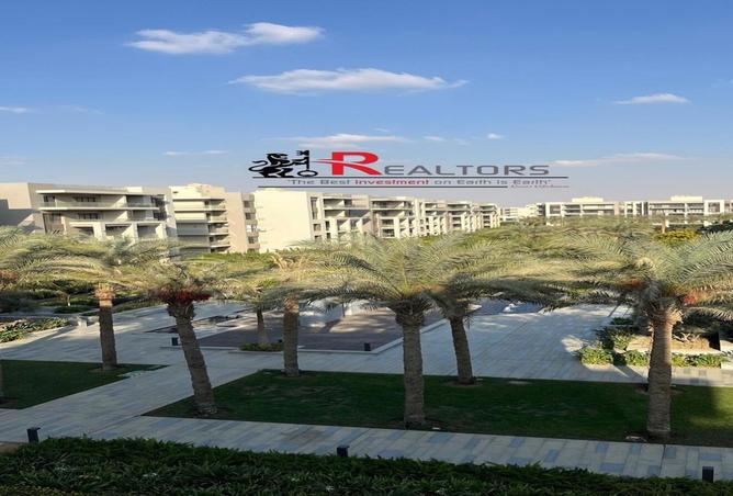 8017041 - صورة العقار 3