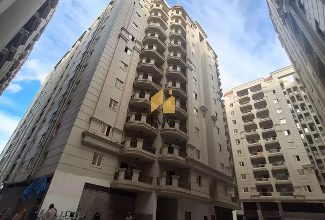 8029669 - صورة العقار 3