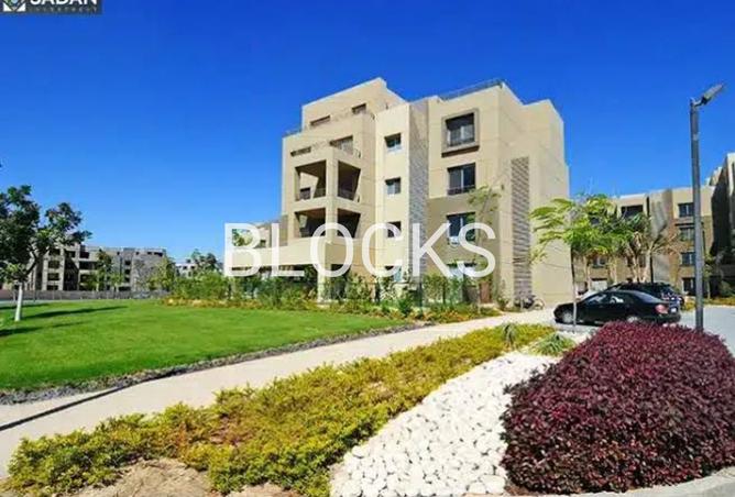 8020840 - Property Image 3