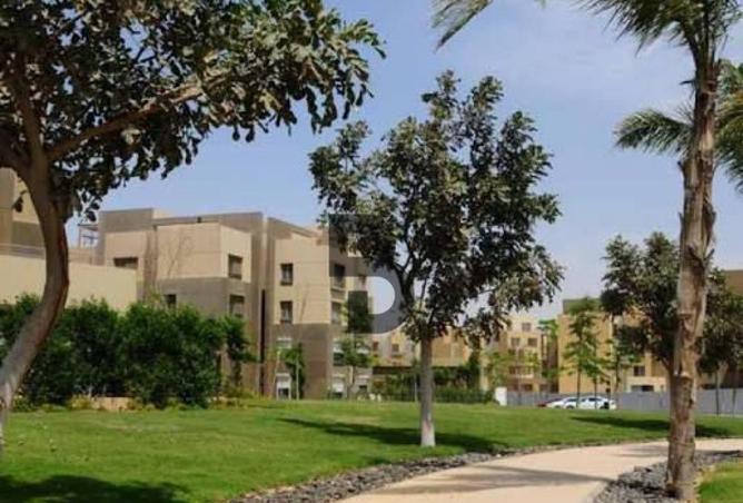 8020840 - صورة العقار 2