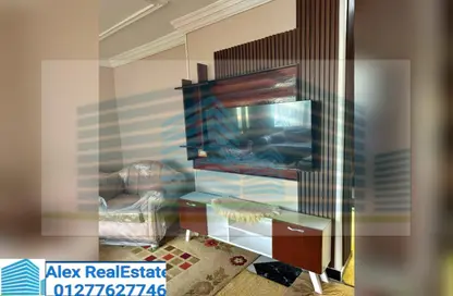 Apartment - 2 Bedrooms - 1 Bathroom for rent in Al Ghardaqah St. - San Stefano - Hay Sharq - Alexandria