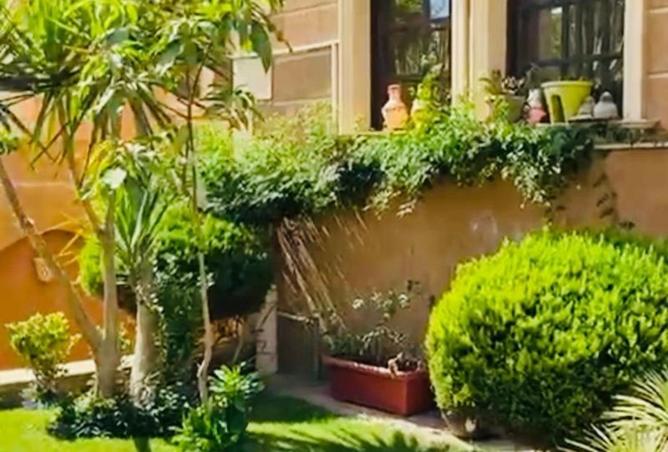 8021875 - صورة العقار 3