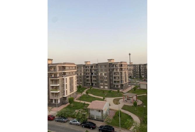 8060831 - صورة العقار 3