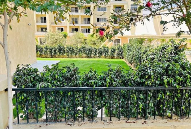 8023890 - صورة العقار 3