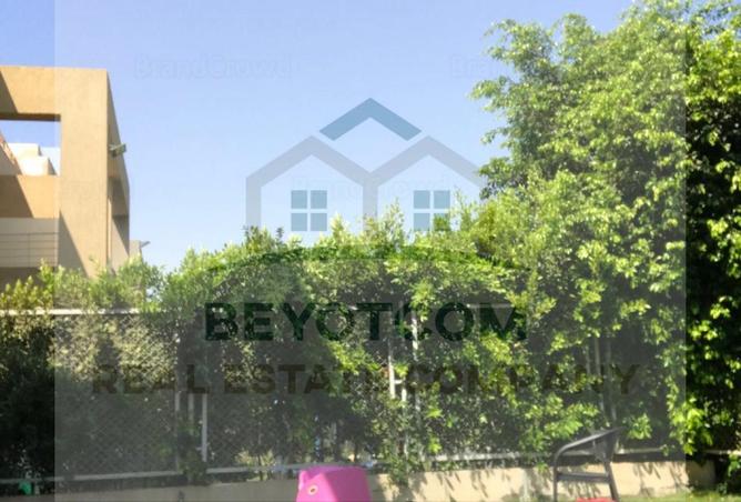 8024580 - Property Image 3