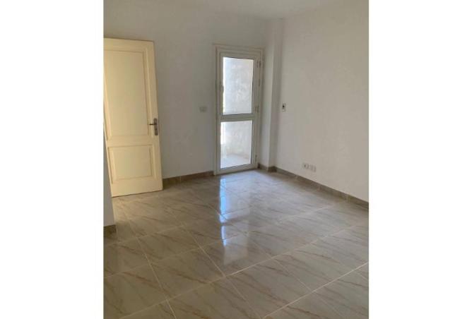 8075860 - صورة العقار 3