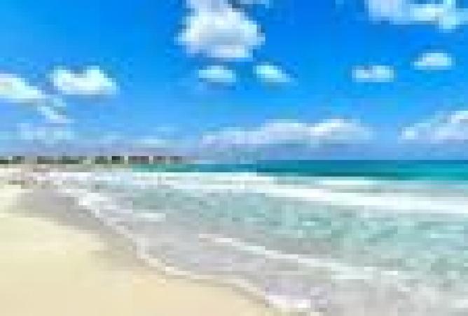 8024595 - Property Image 2