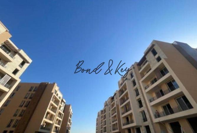 8024864 - صورة العقار 3