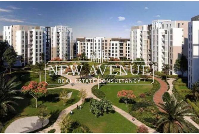 8374376 - Property Image 3