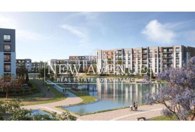 8374412 - صورة العقار 3