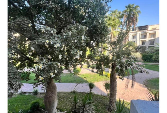 8060618 - الصورة الرئيسية للعقار