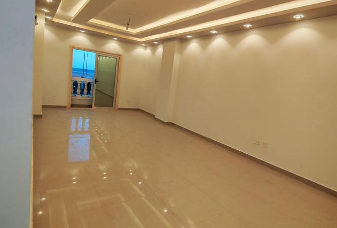 8025908 - Property Image 3