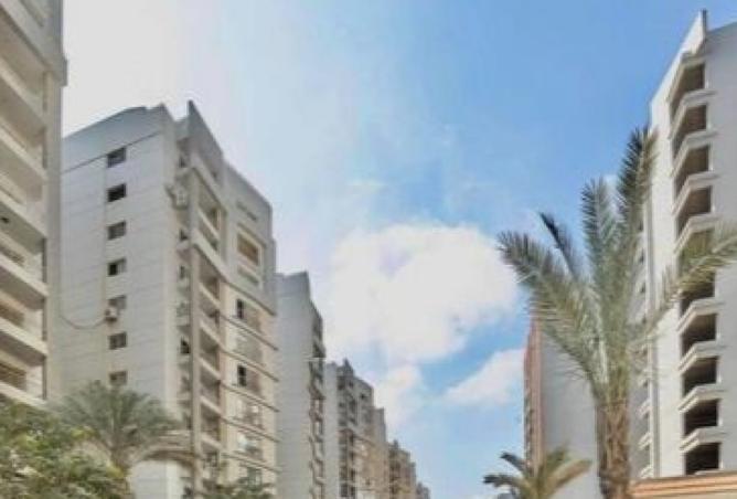 8029625 - صورة العقار 3