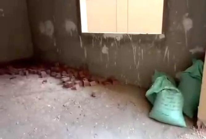 8028376 - Property Image 3