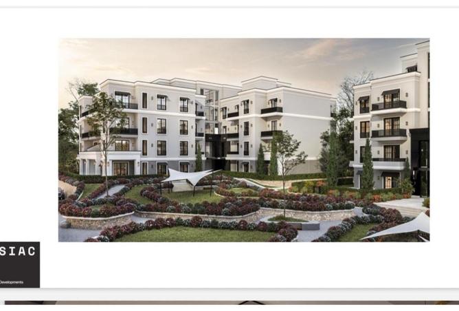 8028411 - Property Image 3