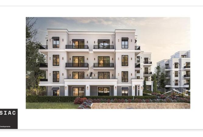 8028411 - Property Image 2