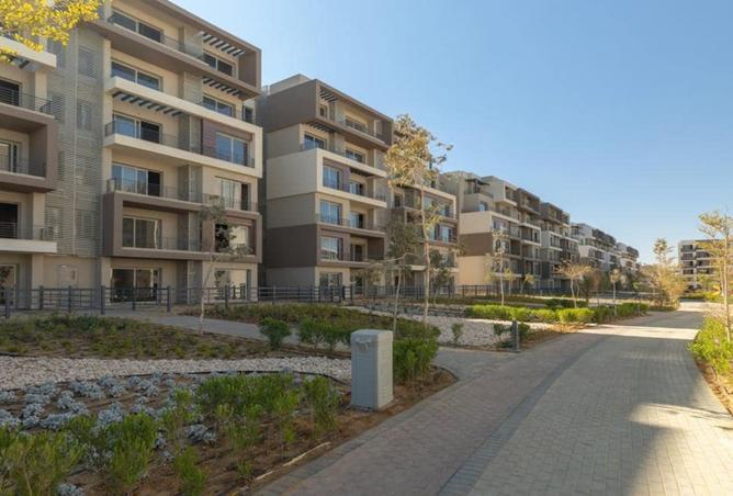 8028294 - صورة العقار 3