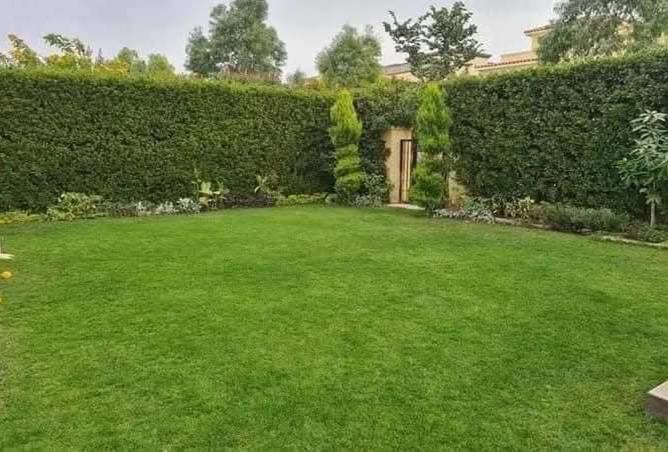 8032396 - Property Image 2