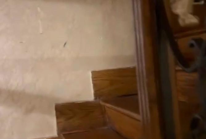 8033265 - صورة العقار 2