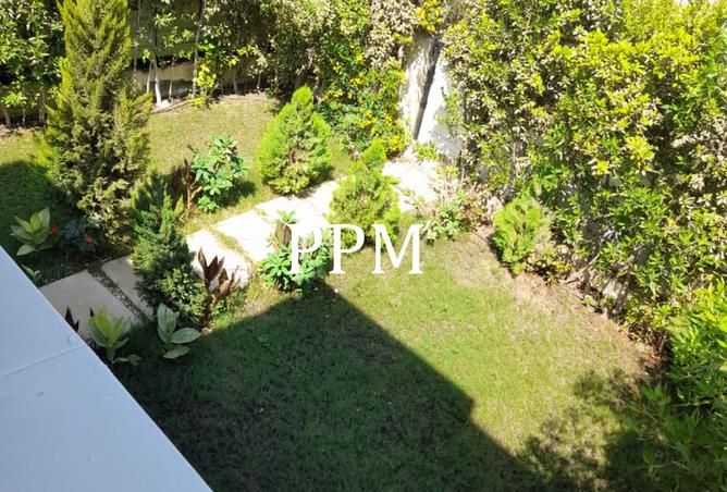 8033391 - الصورة الرئيسية للعقار