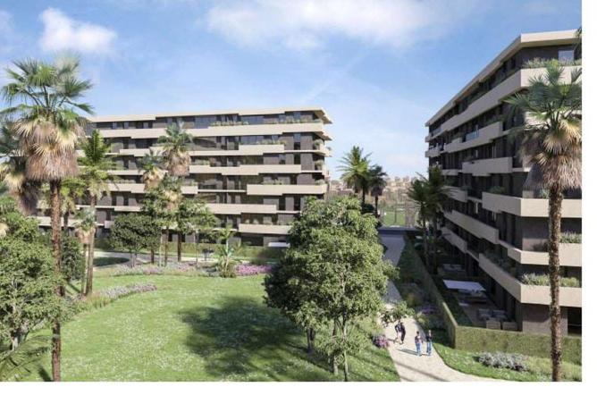 8034360 - Property Image 3