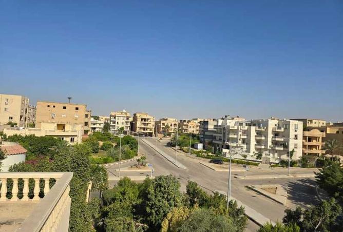 8034380 - صورة العقار 3