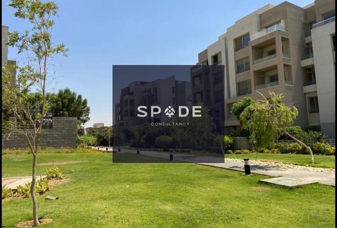 8396038 - Property Image 2