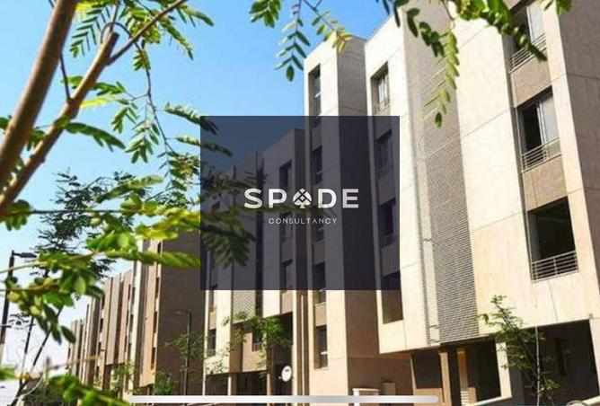 8396038 - Property Image 3