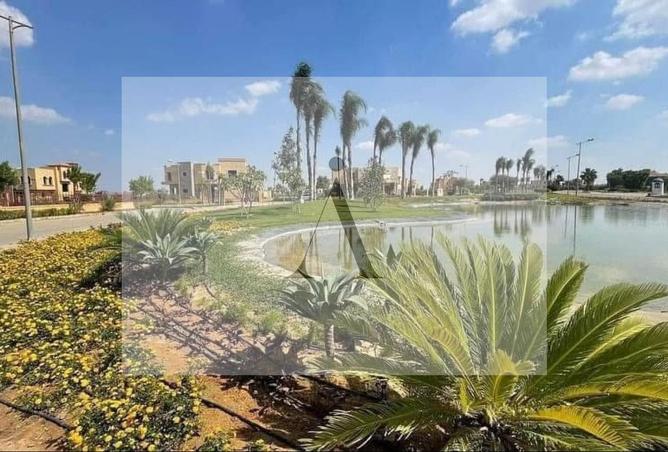 8035305 - صورة العقار 3