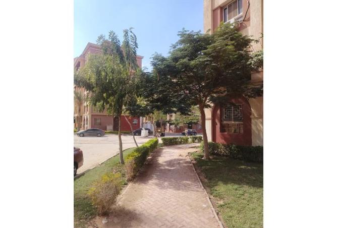 8035269 - الصورة الرئيسية للعقار