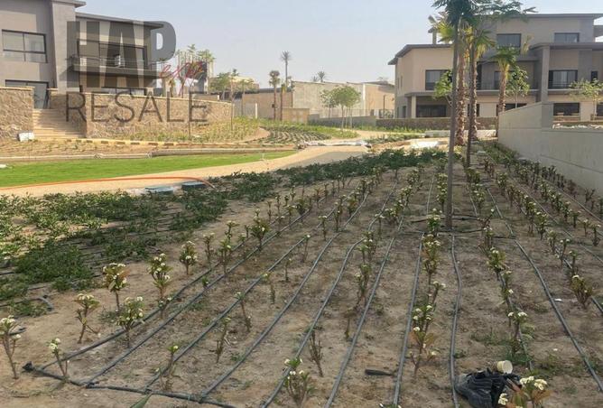 8042317 - صورة العقار 2