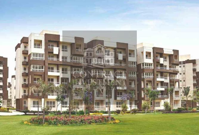 8036435 - Property Image 3