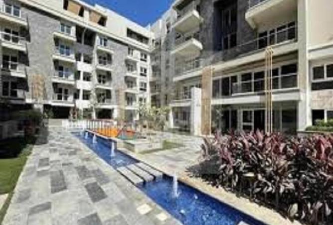 8037091 - Property Image 3